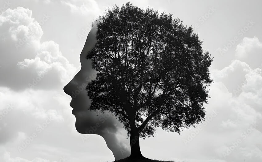 Churchill Fellow in Cross-Cultural Perspectives on Mental Health: Ongoing research into global wellbeing approaches. Read my fellowship report here